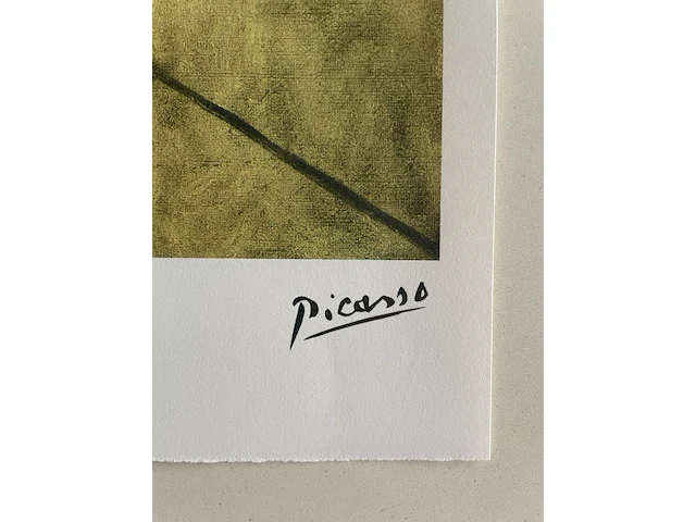 Pablo picasso - afbeelding 4 van  5