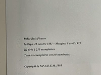 Pablo picasso - afbeelding 5 van  5