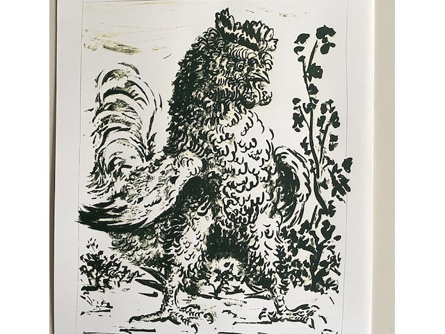 Pablo picasso - afbeelding 2 van  5