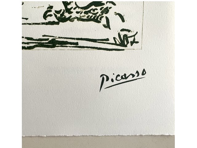 Pablo picasso - afbeelding 4 van  5