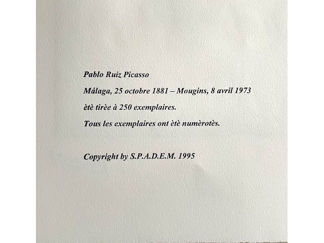 Pablo picasso - afbeelding 5 van  5