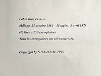 Pablo picasso - afbeelding 5 van  5
