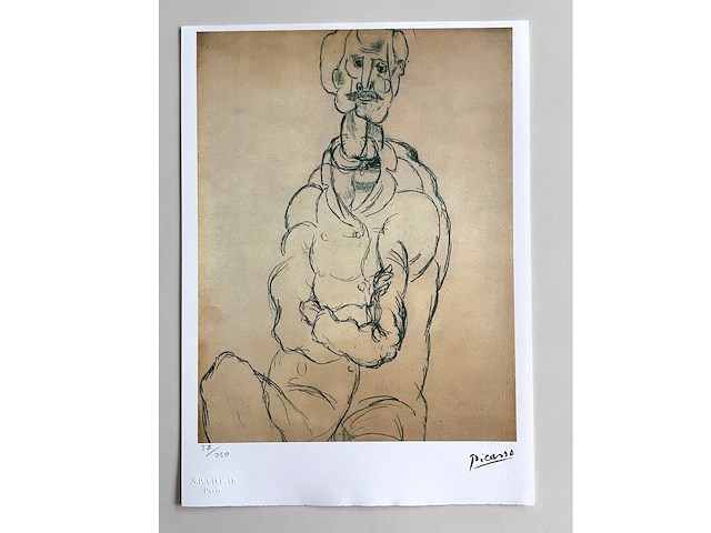 Pablo picasso - afbeelding 1 van  5