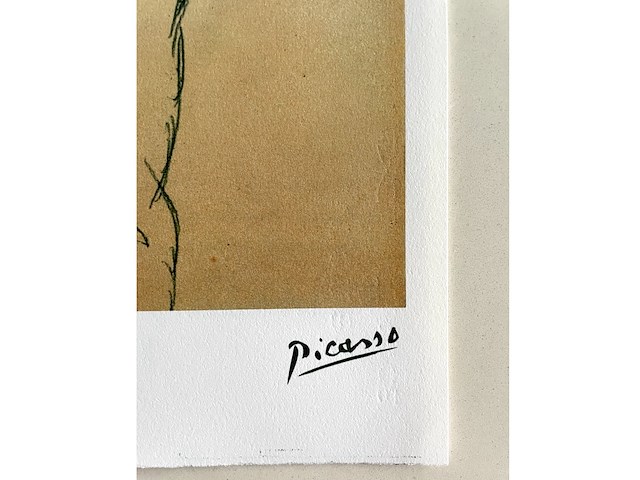 Pablo picasso - afbeelding 4 van  5