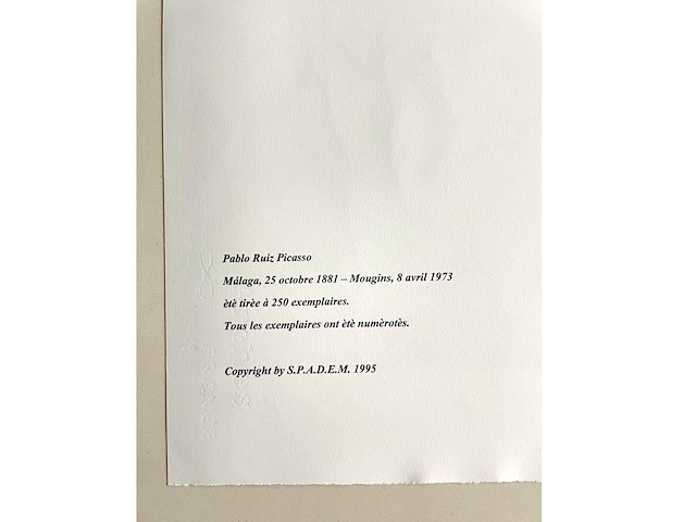 Pablo picasso - afbeelding 5 van  5