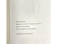 Pablo picasso - afbeelding 5 van  5
