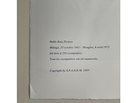 Pablo picasso - afbeelding 4 van  5