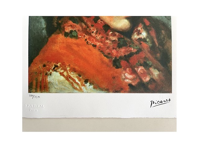 Pablo picasso - afbeelding 2 van  2