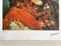 Pablo picasso - afbeelding 2 van  2