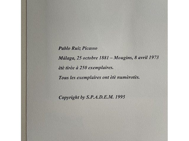 Pablo picasso - afbeelding 5 van  5