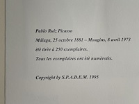 Pablo picasso - afbeelding 5 van  5