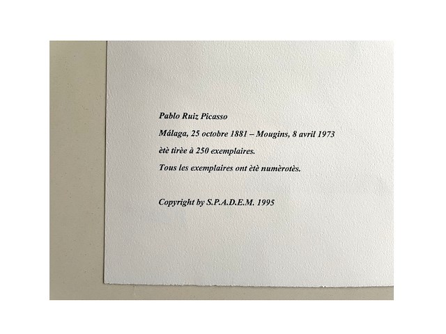 Pablo picasso - afbeelding 4 van  4