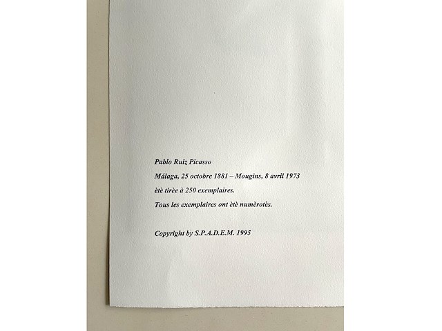 Pablo picasso - afbeelding 5 van  5