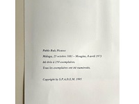 Pablo picasso - afbeelding 5 van  5