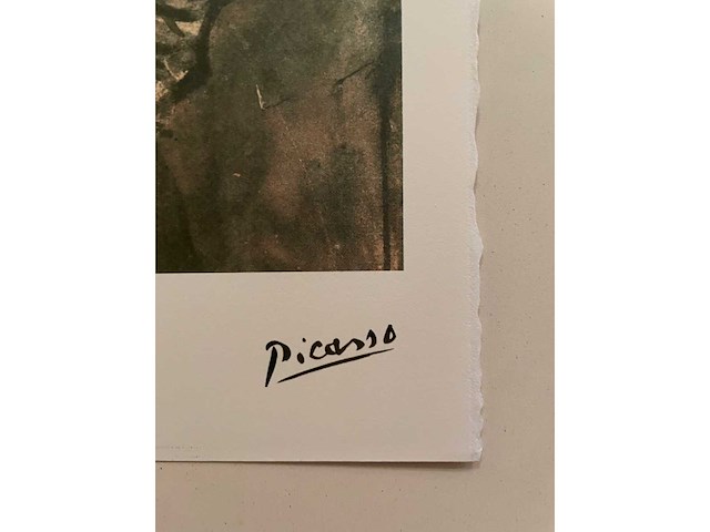 Pablo picasso - afbeelding 2 van  3