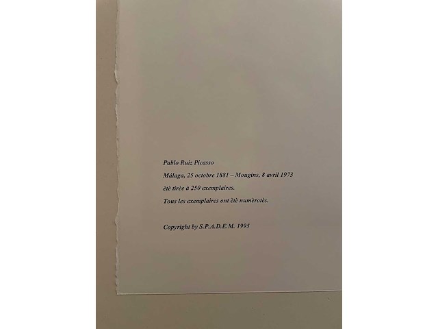 Pablo picasso - afbeelding 3 van  3