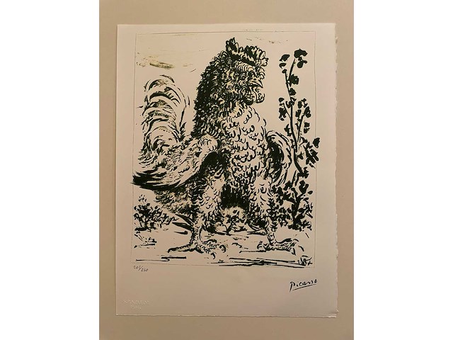 Pablo picasso - afbeelding 1 van  5