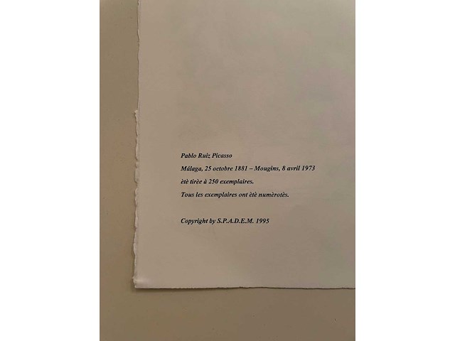 Pablo picasso - afbeelding 5 van  5