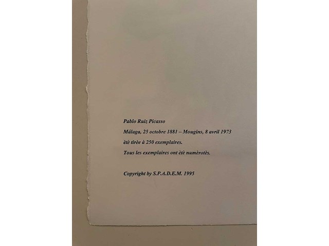 Pablo picasso - afbeelding 4 van  4