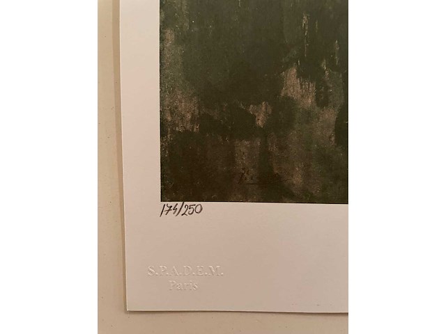 Pablo picasso - afbeelding 2 van  3