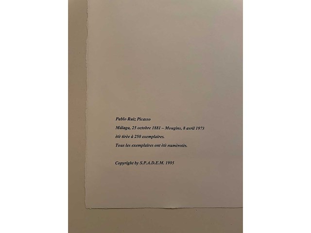 Pablo picasso - afbeelding 3 van  3