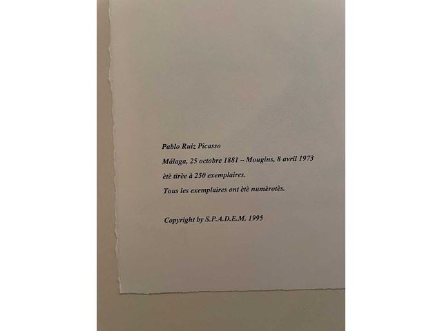 Pablo picasso - afbeelding 3 van  3