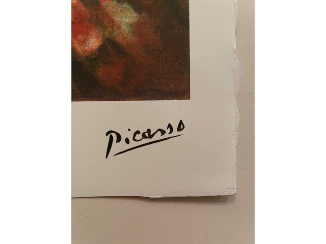 Pablo picasso - afbeelding 4 van  5