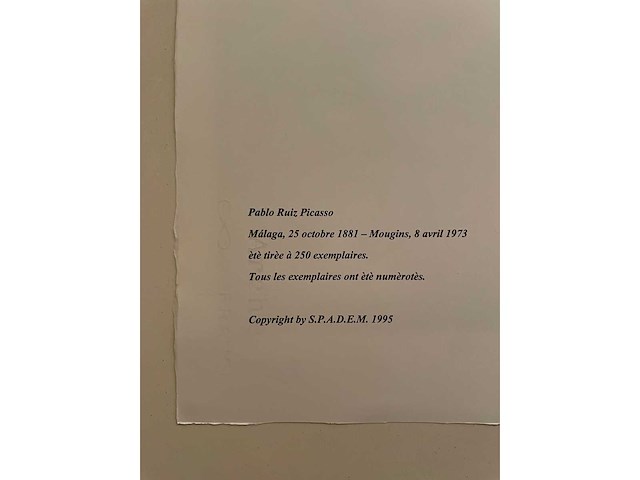 Pablo picasso - afbeelding 5 van  5