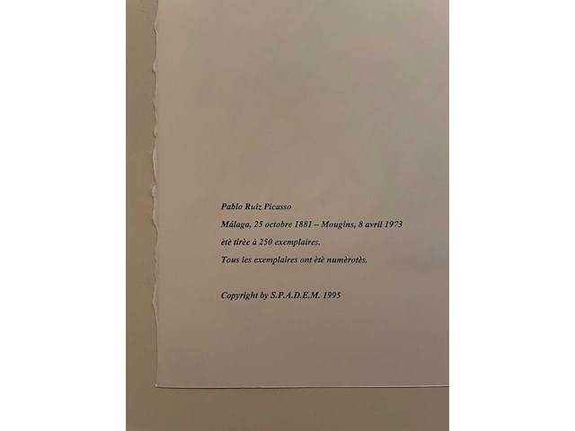 Pablo picasso - afbeelding 4 van  4