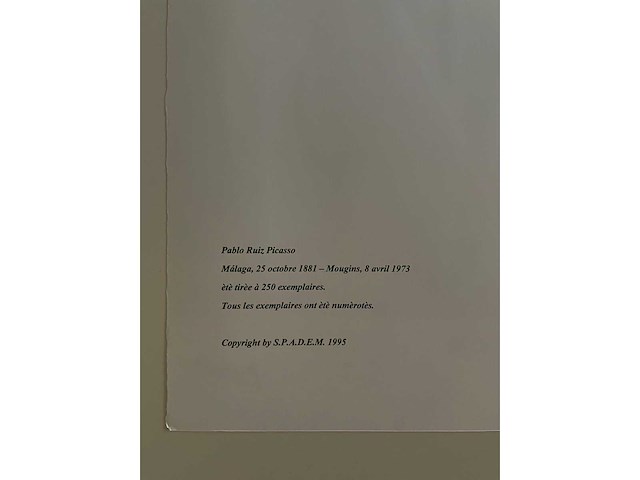 Pablo picasso - afbeelding 4 van  4