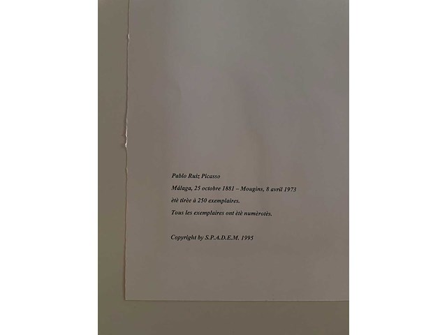 Pablo picasso - afbeelding 3 van  3