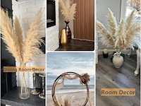 Pack v 10 pampasgras 100cm - afbeelding 2 van  2