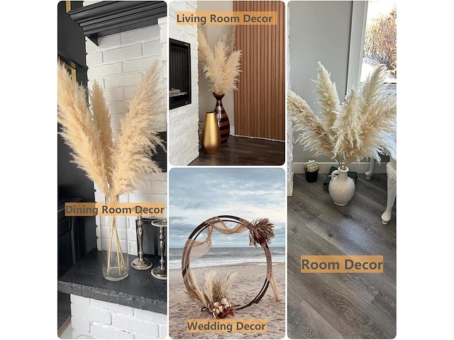 Pack v 10 pampasgras 100cm - afbeelding 2 van  2