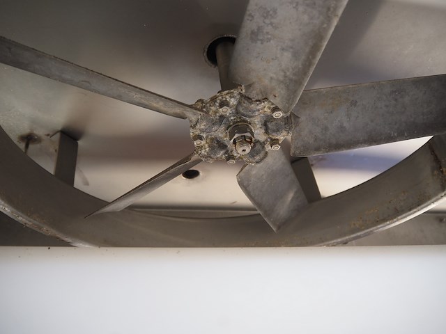 Packo - afbeelding 22 van  26