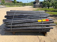 Palenboer - tuinpalen (141x) - afbeelding 1 van  3