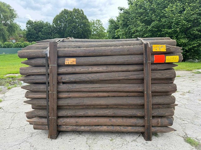 Palenboer - tuinpalen (160x) - afbeelding 1 van  2
