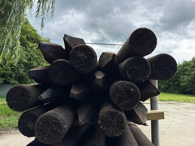 Palenboer - tuinpalen (20x) - afbeelding 2 van  2