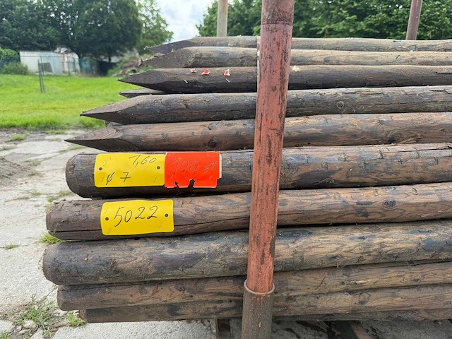 Palenboer - tuinpalen creo 1m60 (100x) - afbeelding 2 van  2