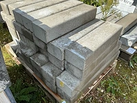 Palissade (33x) - afbeelding 3 van  3