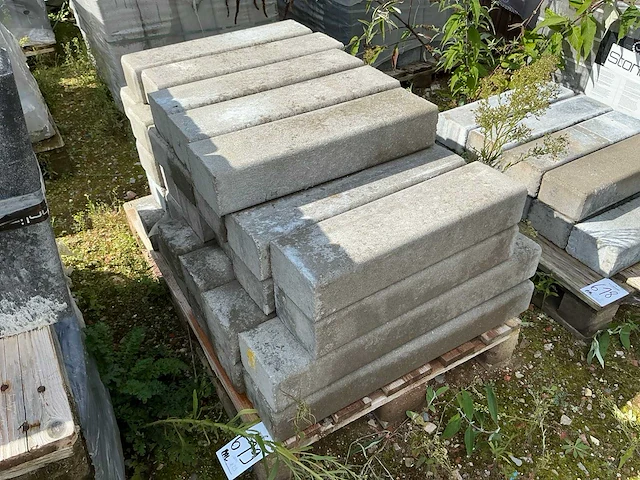 Palissade (33x) - afbeelding 1 van  3