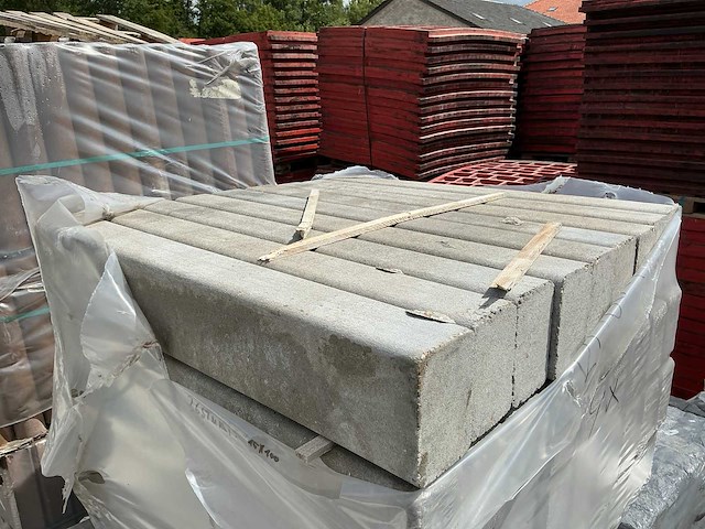 Palissade (36x) - afbeelding 1 van  3