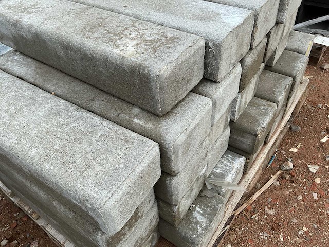 Palissade (43x) - afbeelding 3 van  4