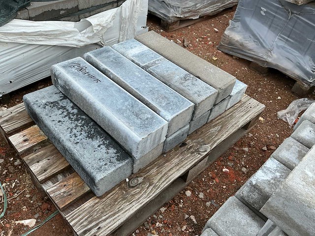 Palissade (43x) - afbeelding 4 van  4