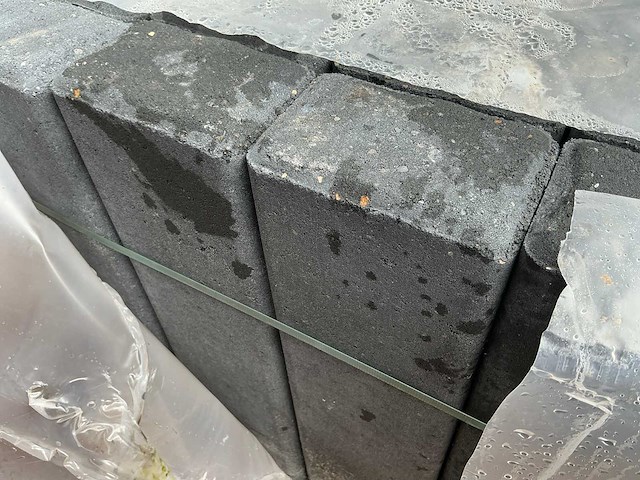 Palissade (45x) - afbeelding 3 van  3