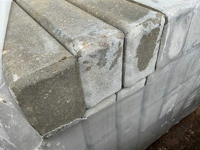 Palissade (45x) - afbeelding 4 van  5