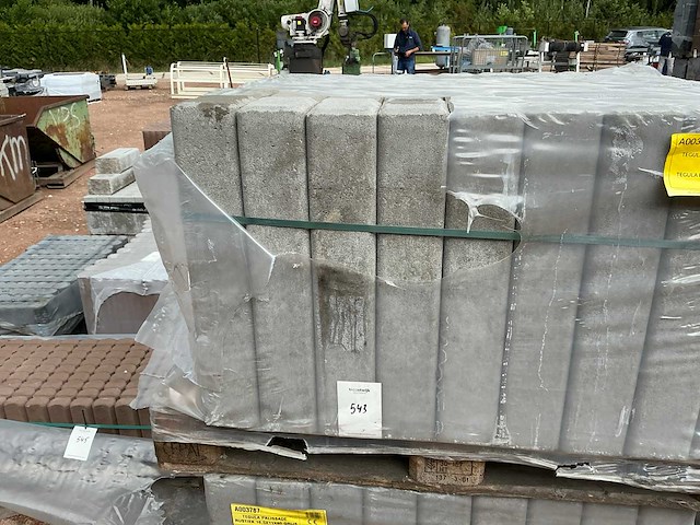 Palissade (45x) - afbeelding 1 van  5