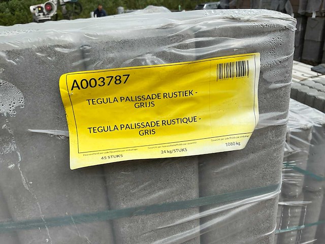 Palissade (45x) - afbeelding 3 van  5