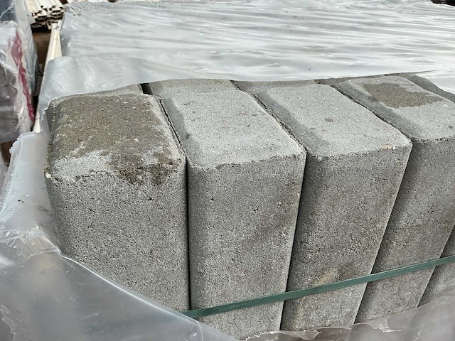 Palissade (45x) - afbeelding 3 van  4