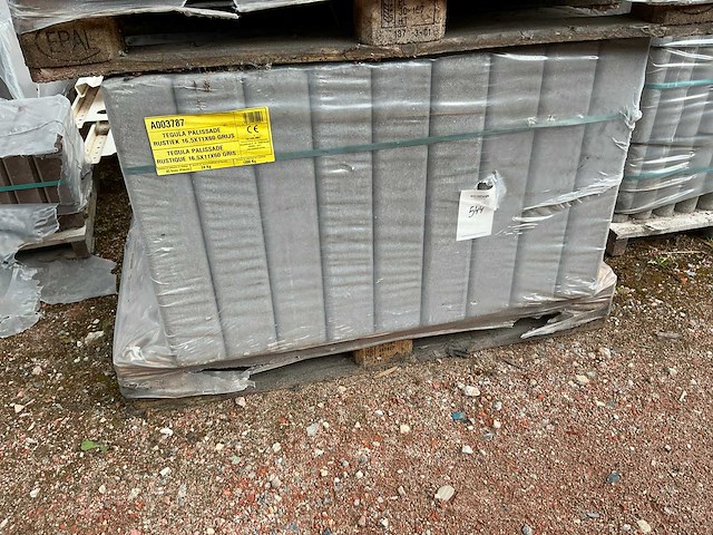 Palissade (45x) - afbeelding 1 van  4