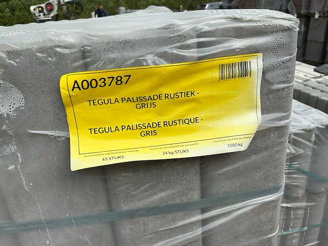 Palissade (45x) - afbeelding 3 van  4